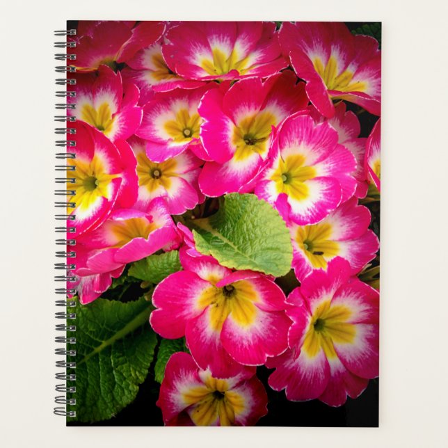 Spring Flowers 2024 Planner (Front)