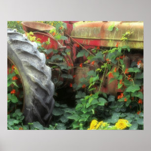 Spring flowers adorn an old tractor. poster