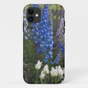 Spring flowers along a garden path, Georgia 2 iPhone 11 Case