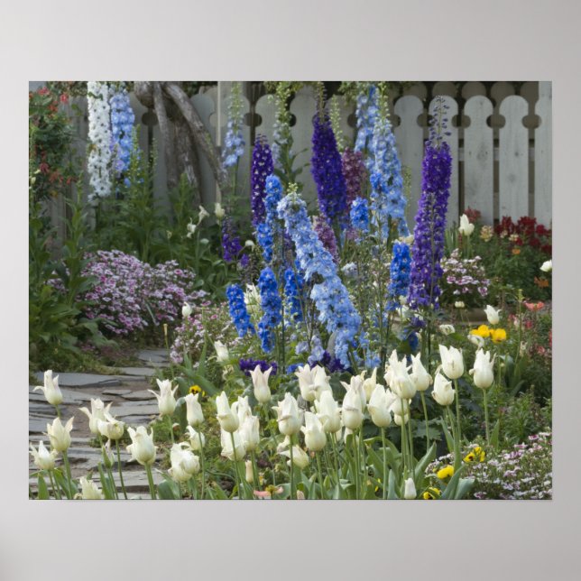 Spring flowers along a garden path, Georgia Poster (Front)