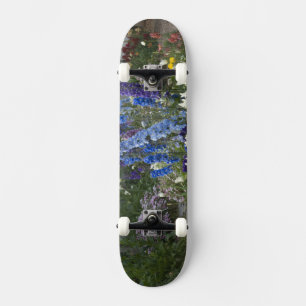 Spring flowers along a garden path, Georgia Skateboard