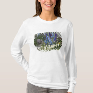 Spring flowers along a garden path, Georgia T-Shirt