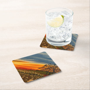 Spring Flowers at Sunset, by Gary Poling Paper Coaster