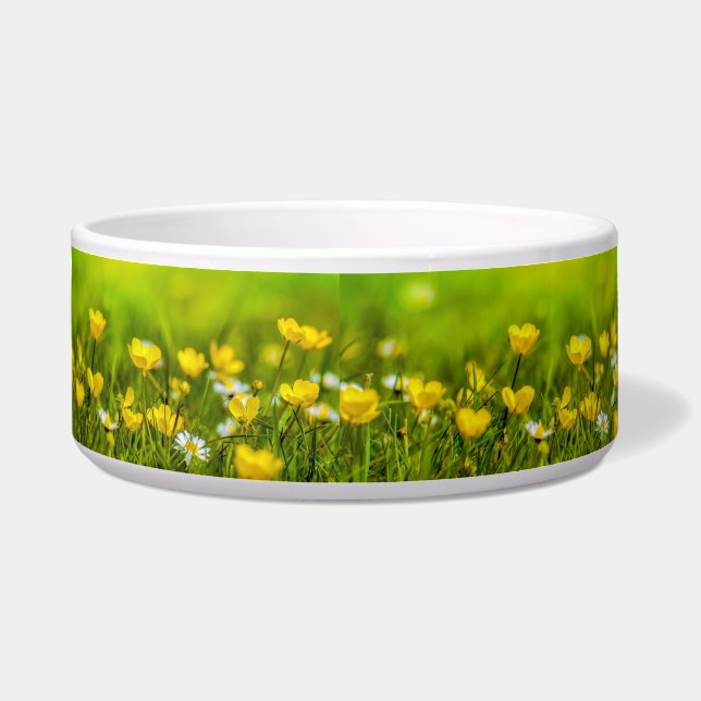 Spring Flowers Background (Front)