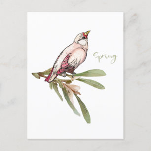 Spring flowers birds. Snowdrops. Holiday Postcard