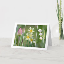 'Spring Flowers' blank greeting card