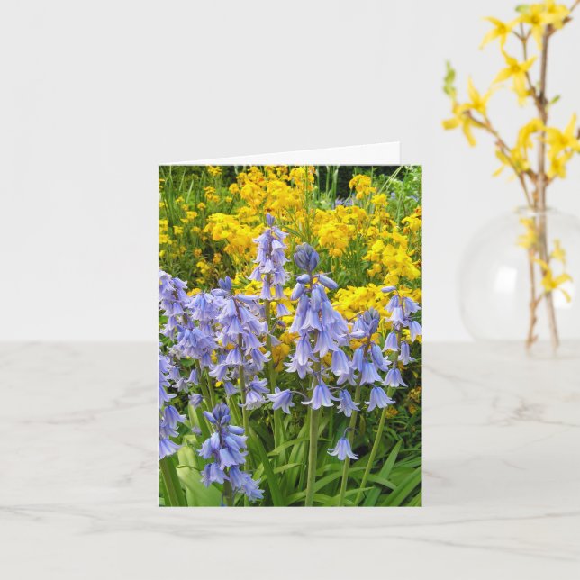 Spring flowers bluebells and wallflowers photo card (Yellow Flower)