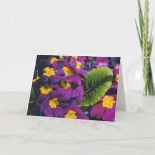 Spring Flowers Card