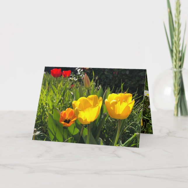 Spring flowers card tulips easter yellow orange (Front)