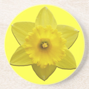 Spring Flowers Coaster Daffoldil Flowers Coaster