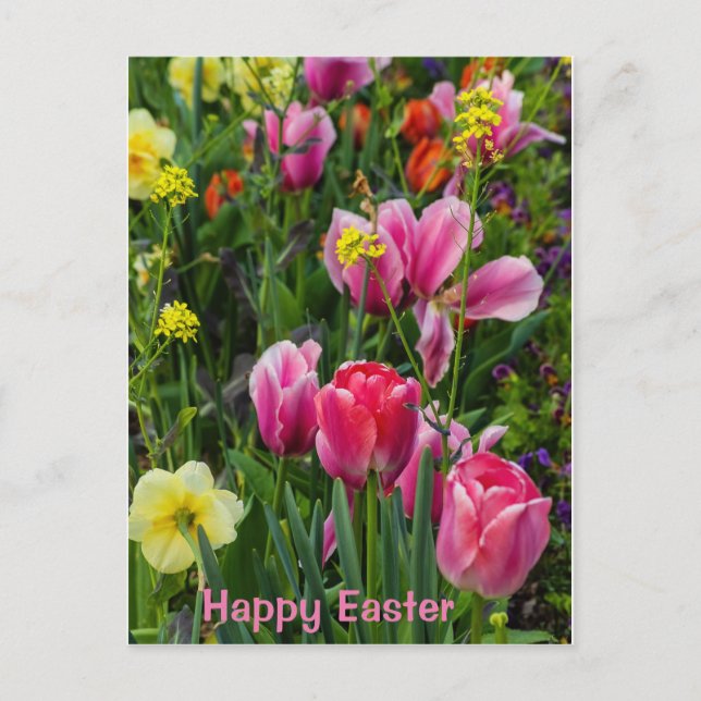 Spring Flowers Easter Postcard (Front)