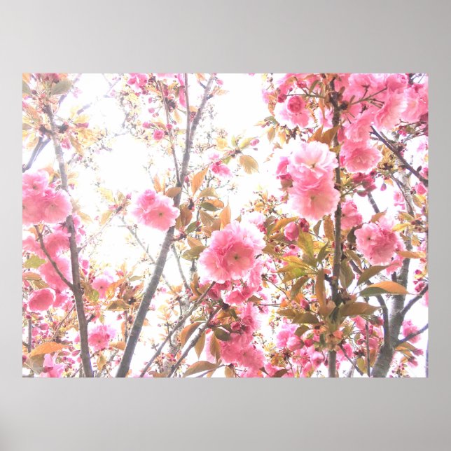 Spring Flowers Floral Pink Cherry Blossom Abstract Poster (Front)