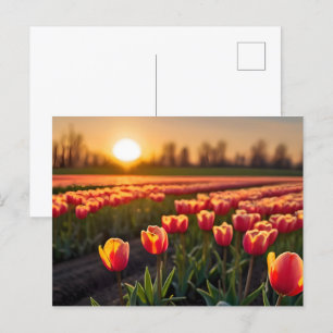 Spring flowers for Valentines day Postcard