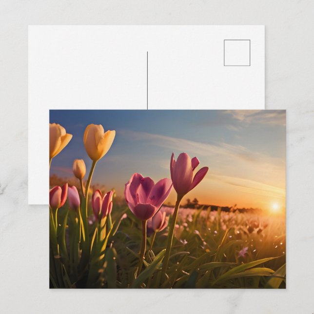 Spring flowers for Valentines day Postcard (Front/Back)