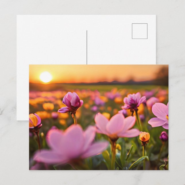 Spring flowers for Valentines day Postcard (Front/Back)