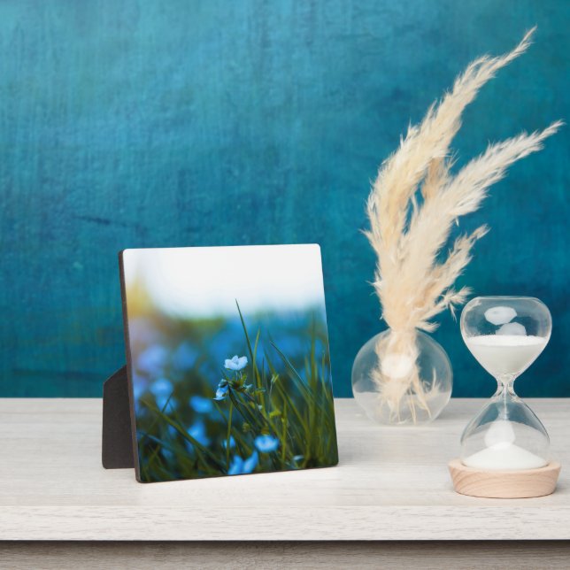 Spring flowers in field plaque (Insitu)
