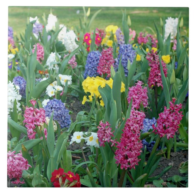 Spring Flowers, meadow Tile (Front)