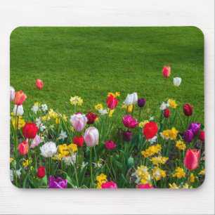 Spring flowers mouse pad