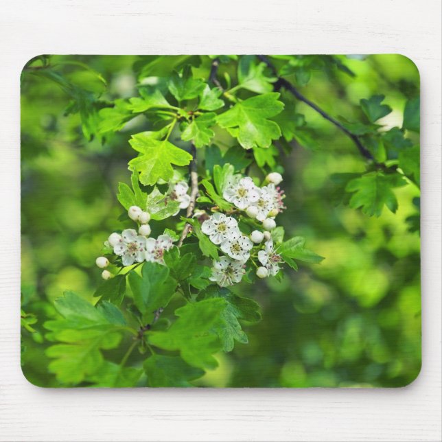 spring flowers mouse pad (Front)