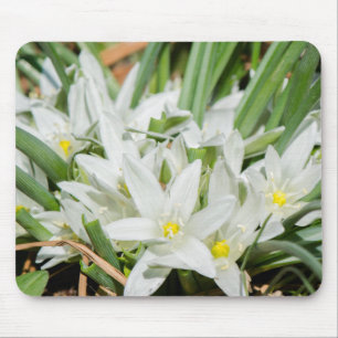 Spring flowers mouse pad