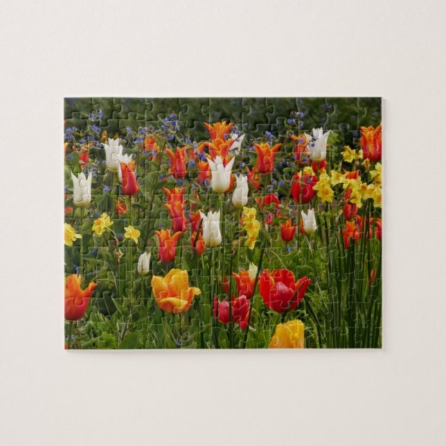 Spring Flowers Puzzle  (Horizontal)