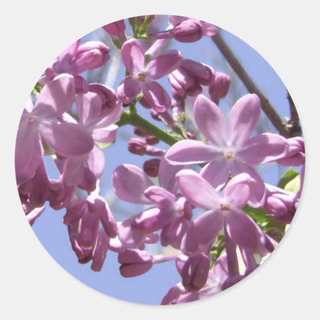 Spring Flowers Stickers (Front)