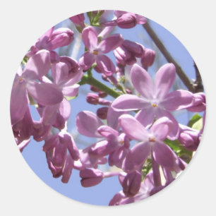 Spring Flowers Stickers