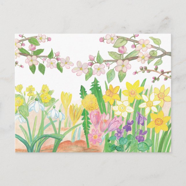 Spring Flowers that Radiate Joy  Postcard (Front)