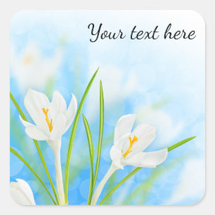 Spring flowers (white crocus) square sticker