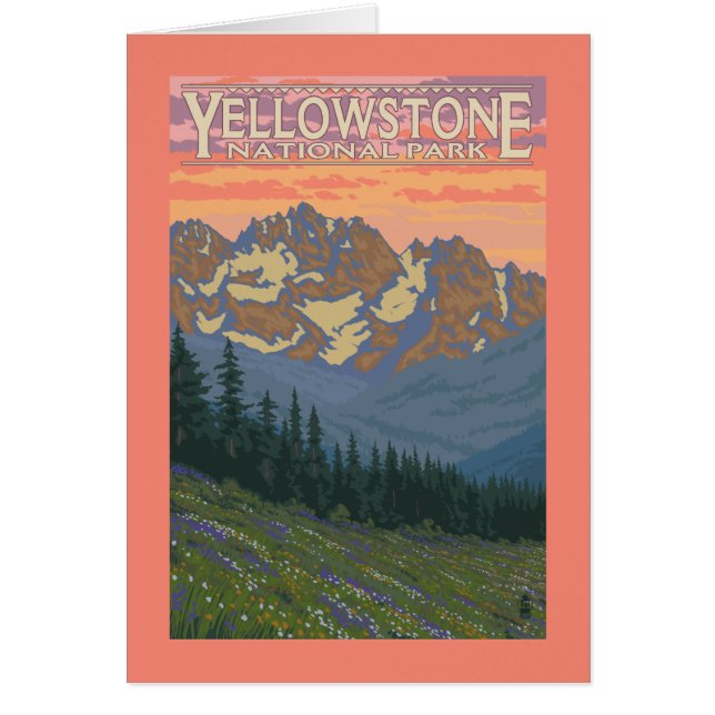 Spring Flowers - Yellowstone National Park (Front)