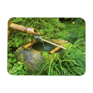 Spring for Tea Ceremony, Sanzen-in Temple, Magnet