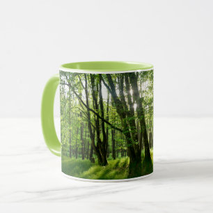 Spring Forests Mug