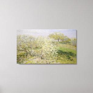 Spring Fruit Trees in Bloom Canvas Print