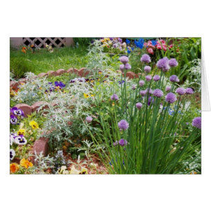 Spring Garden
