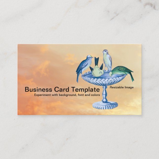 Spring Garden Birds Birdbath Business Card (Front)
