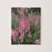 Spring Garden Flowers