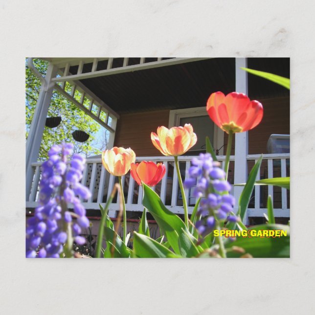 SPRING GARDEN POSTCARD (Front)
