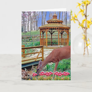 Spring Gazebo Deer & Fawn Card