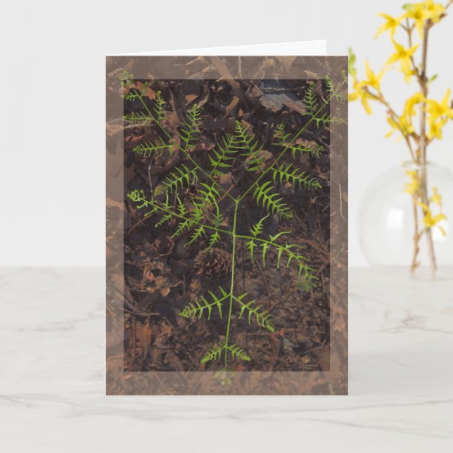 spring green  card (Yellow Flower)