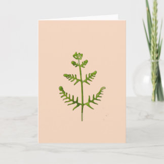 spring green card