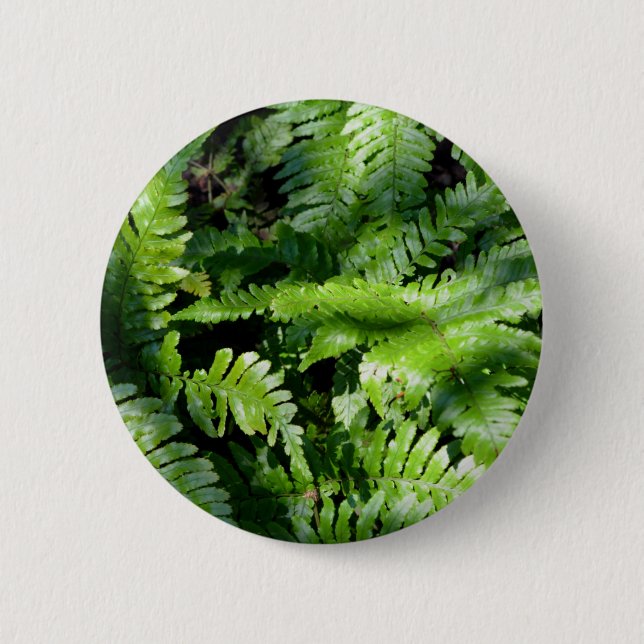 Spring Green Ferns boho botanical  6 Cm Round Badge (Front)