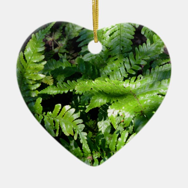 Spring Green Ferns boho botanical  Ceramic Tree Decoration (Front)