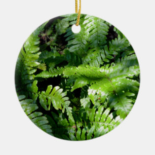 Spring Green Ferns boho botanical Ceramic Tree Decoration