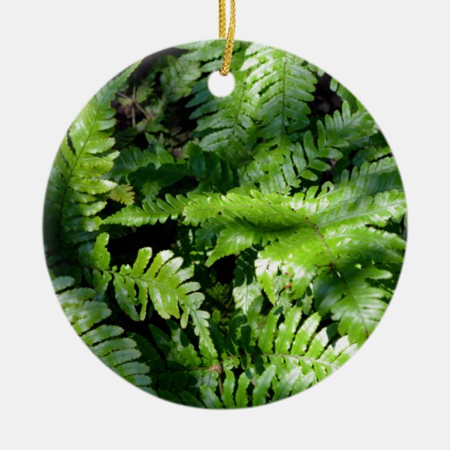 Spring Green Ferns boho botanical  Ceramic Tree Decoration (Front)