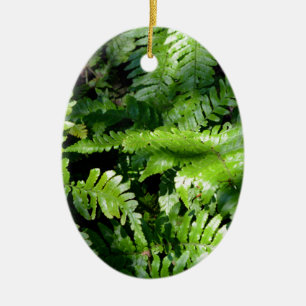 Spring Green Ferns boho botanical  Ceramic Tree Decoration
