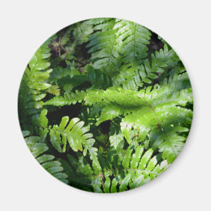 Spring Green Ferns boho botanical Magnet