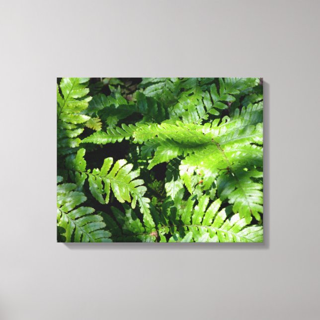 Spring Green Ferns Canvas Print (Front)