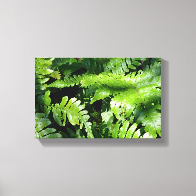 Spring Green Ferns Canvas Print (Front)