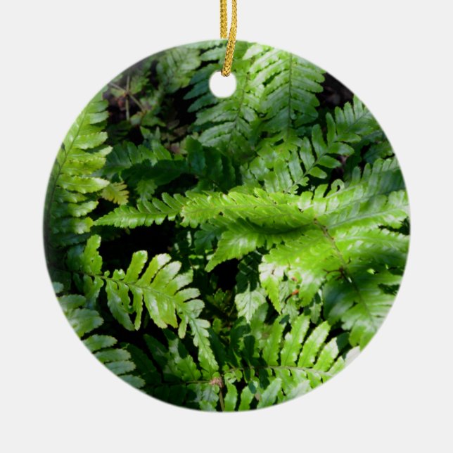 Spring Green Ferns Ceramic Tree Decoration (Front)