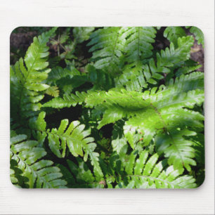 Spring Green Ferns Mouse Pad